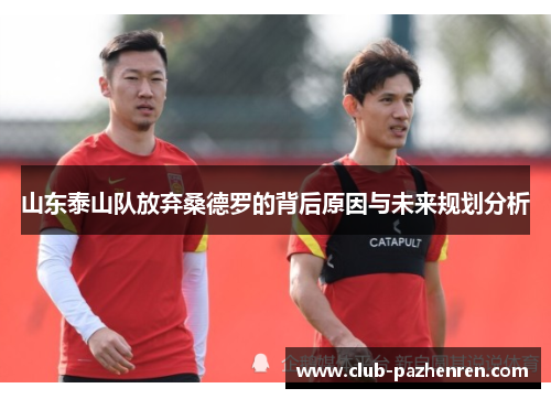 山东泰山队放弃桑德罗的背后原因与未来规划分析