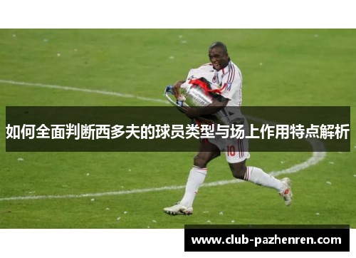 如何全面判断西多夫的球员类型与场上作用特点解析