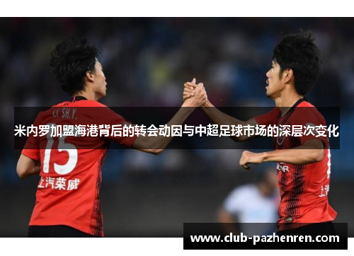 米内罗加盟海港背后的转会动因与中超足球市场的深层次变化