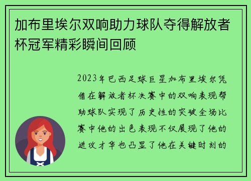 加布里埃尔双响助力球队夺得解放者杯冠军精彩瞬间回顾